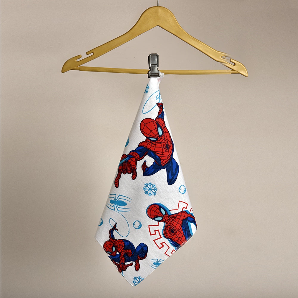Spider - Man