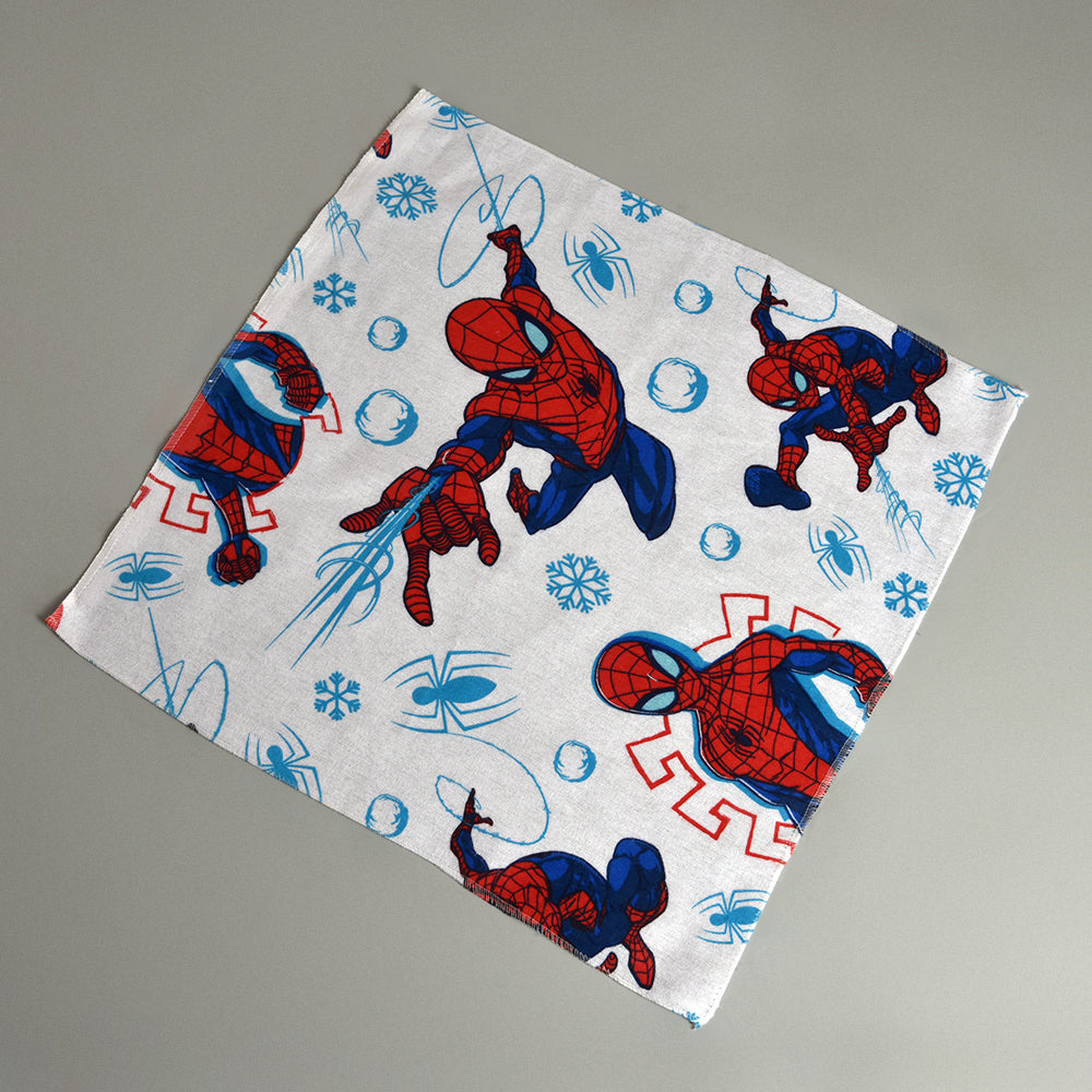 Spider - Man