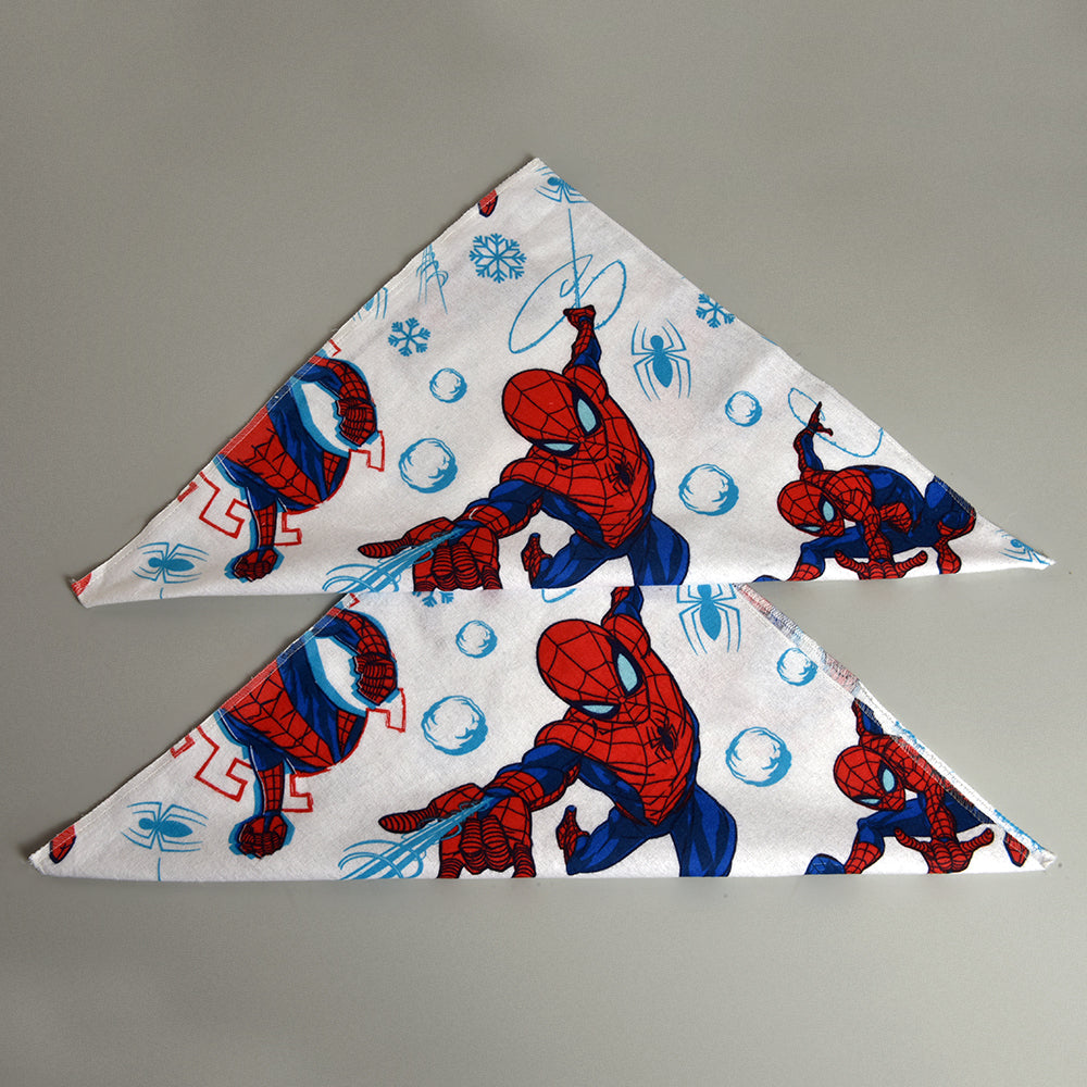 Spider - Man